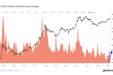Analysis of HODL waves reveals a speculative market at play
