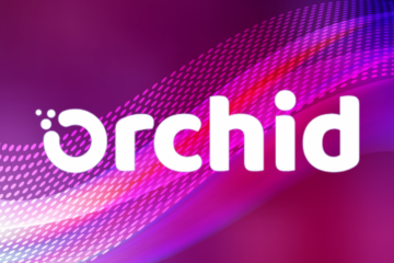 Orchid price