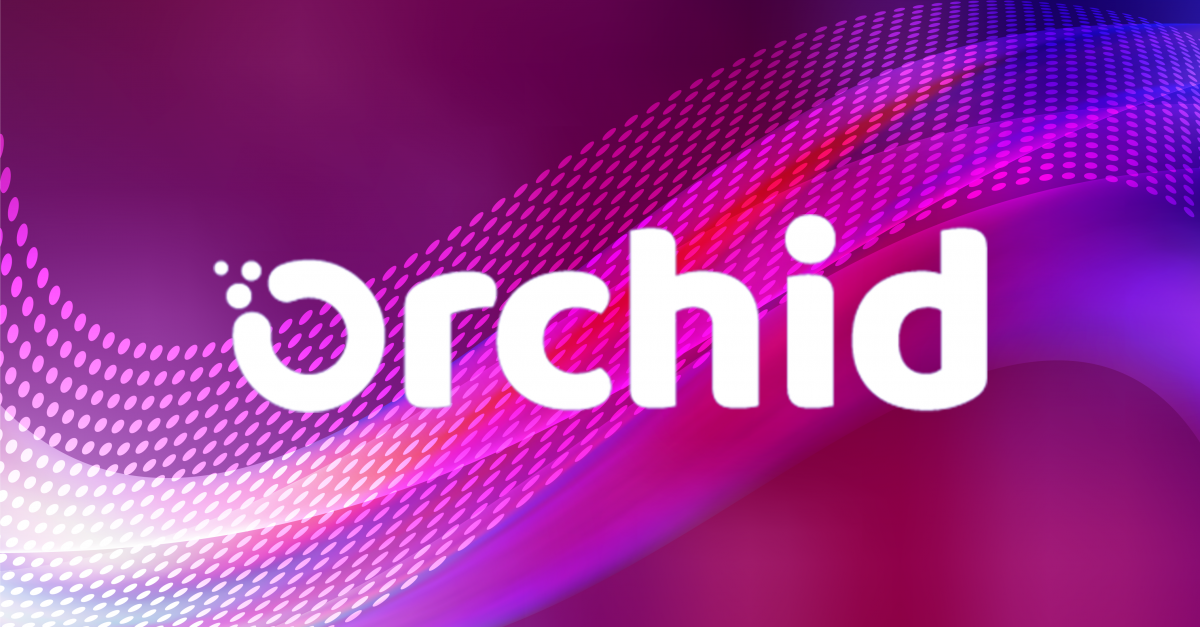 Orchid price