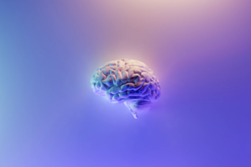 image of a brain to demonstrates brainwaves and speech