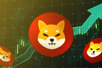 Shiba Inu