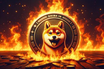 Shiba Inu burn