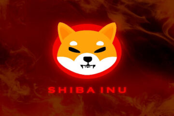 Shiba inu