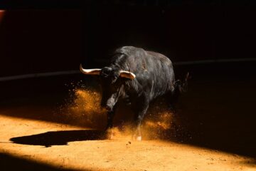 Bitcoin Bull