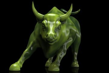 Bitcoin Bull