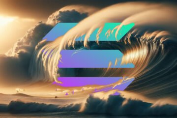 Solana outage was caused by infinite loop bug previously seen on devnet