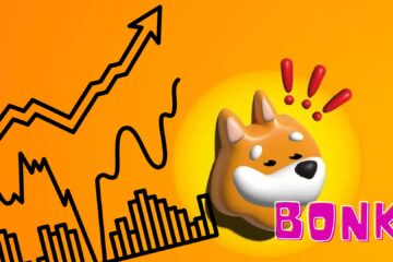 a picture of the Bonk Coin dog logo next to an upward trending stock chart, indicating the recent surge