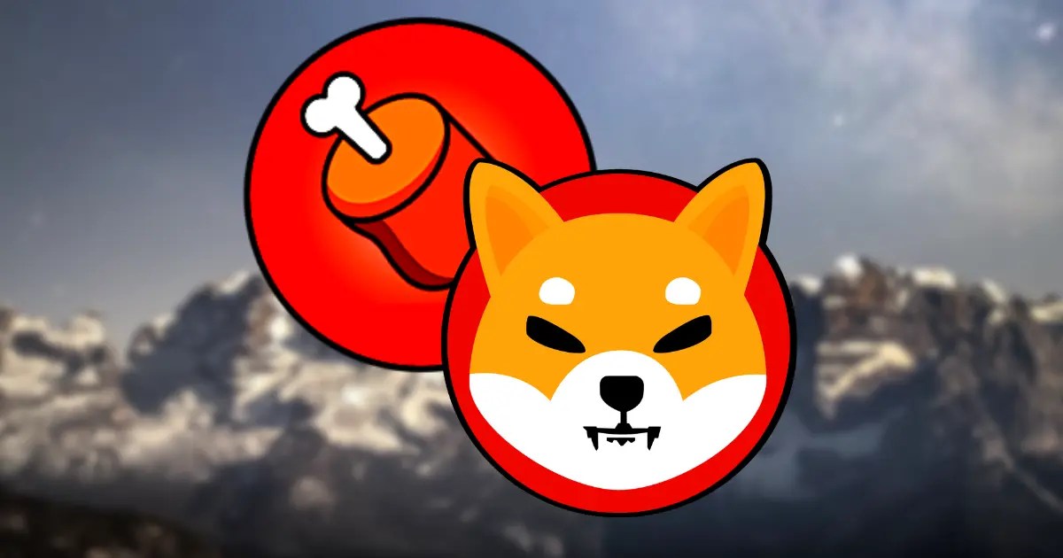 Shiba Inu BONE Binance