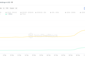 Dogecoin Millionaires
