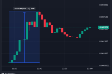$PEEN soars
