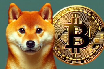 Shiba Inu