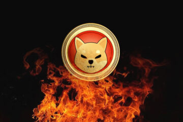 Shiba Inu