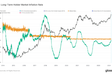 Bitcoin LTH Market Inflation Rate