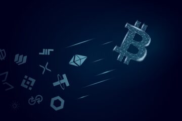 Crypto bull run