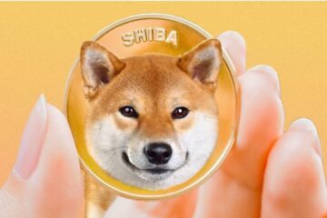 Shiba coin