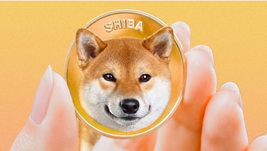 Shiba coin