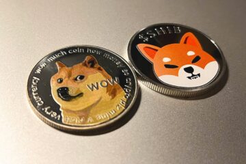 Meme coins