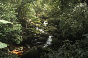 Solana