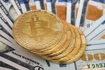 Bitcoin Fees Plummet Following Record $128 Daily Average on Halving Day