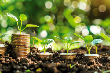 Navigating the Web3 startup landscape with limited funds