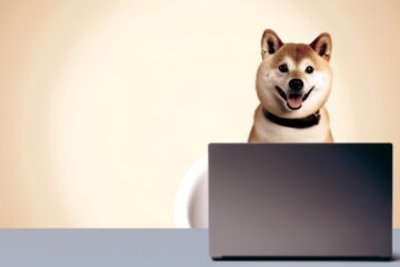 Shiba Inu ShibaSwap