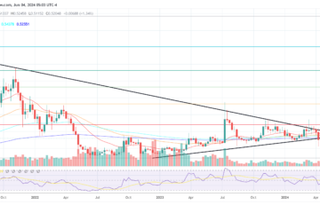 XRP price