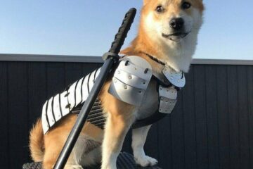 FLOKI