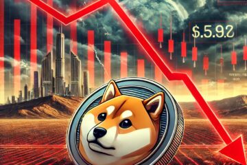 Shiba Inu loss