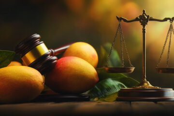 MangoDAO’s proposed SEC settlement faces scrutiny over potential impact on investors