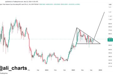 Altcoin Market Cap