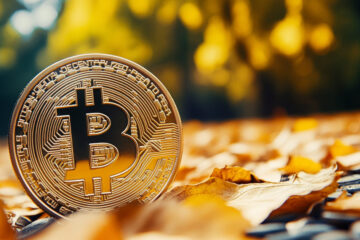Bitcoin faces September slump but optimism grows for year-end rally – Bitwise CIO