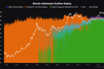Ten years of Bitcoin address data uncovers investor behaviors and market shifts