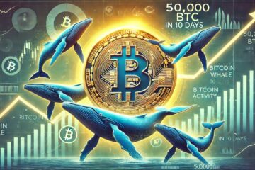 Bitcoin Whales Bought 1.5M BTC In The Past 6 Months: Smart Money Accumulation?