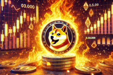 Shiba Inu burn