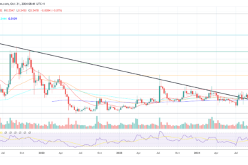 XRP price