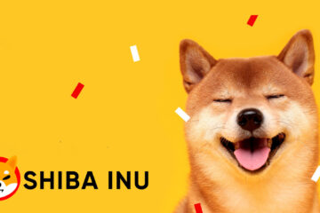 Shiba Inu SHIB Binance petition