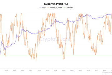 bitcoin supply in profit