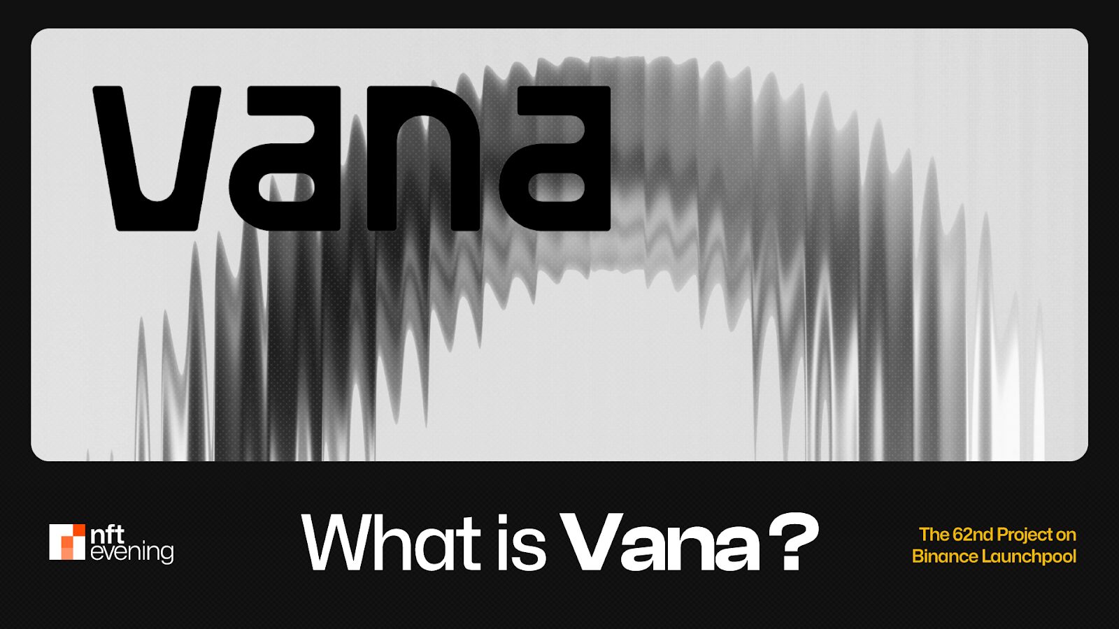 What is Vana (VANA)?