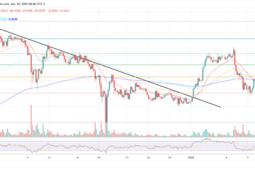 Cardano price